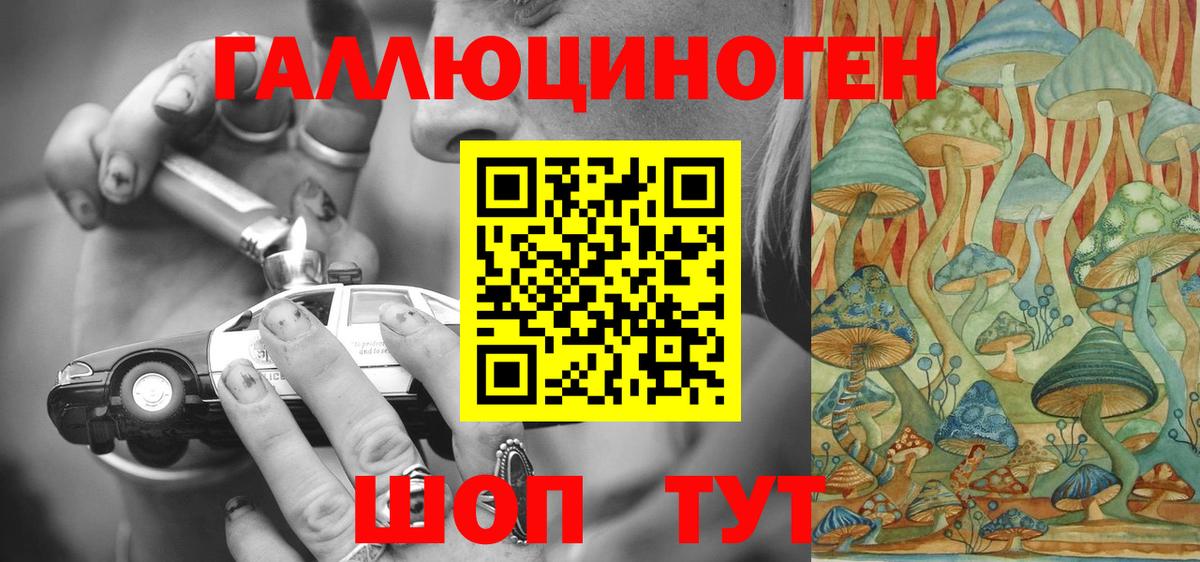 Псилоцибиновые грибы MAGIC MUSHROOMS Губкин